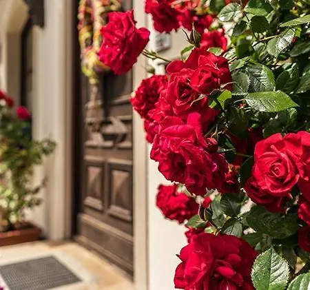 Haus An Der Litz Daire Schruns