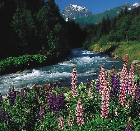 Haus An Der Litz Apartament